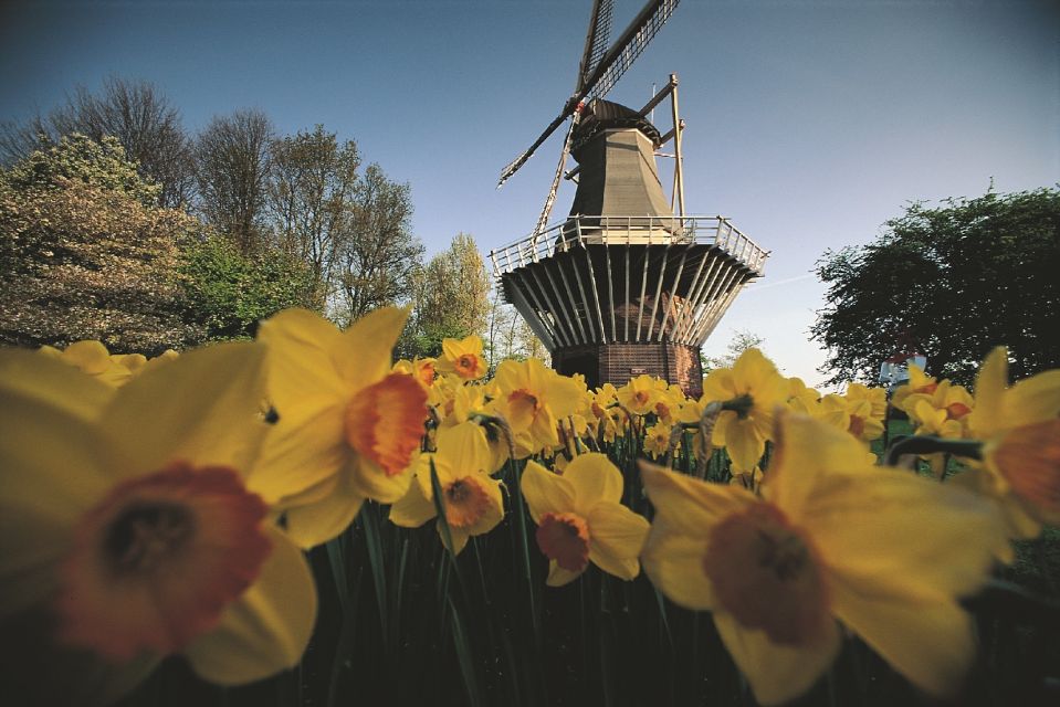 From Amsterdam: Keukenhof Gardens & Tulip Experience Tour - Coffee, shopping, and the stuff that isn’t included