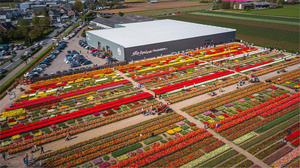 From Amsterdam: Keukenhof Gardens & Tulip Experience Tour - Price and logistics: is $94 worth it?