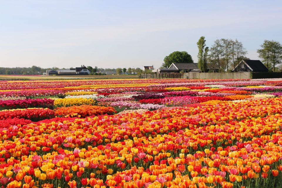 From Amsterdam: Keukenhof Gardens & Tulip Experience Tour - Tulip Experience Amsterdam: the indoor warm-up that pays off