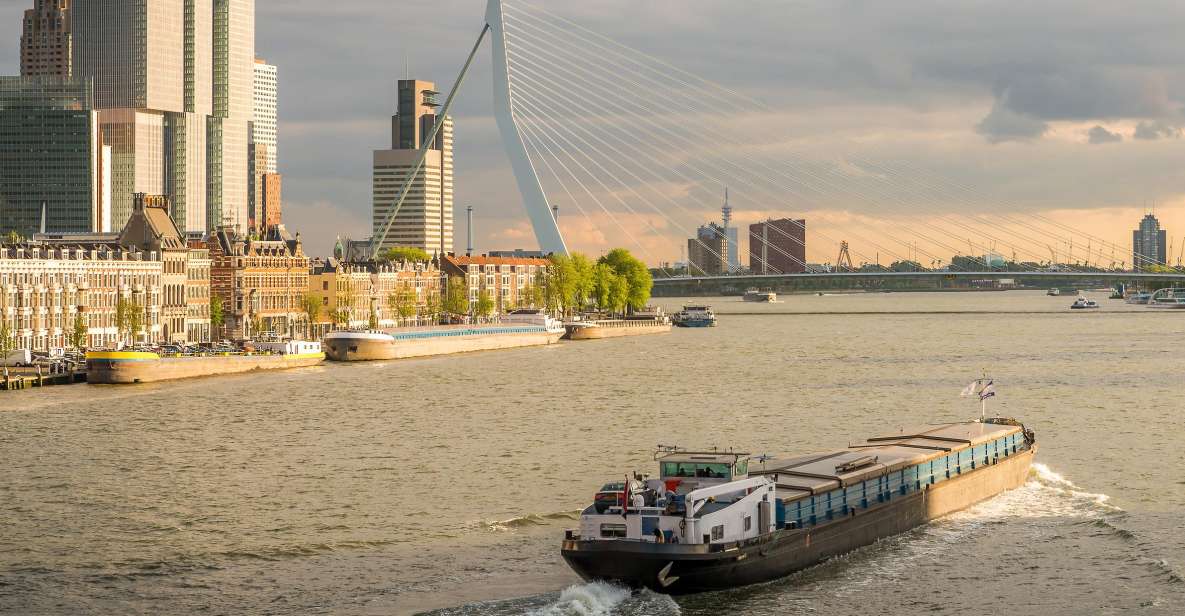 From Amsterdam: Rotterdam and The Hague Tour in Spanish - Key takeaways before you go