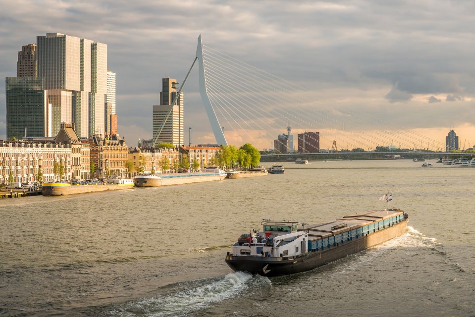 From Amsterdam: Rotterdam and The Hague Tour in Spanish - Mauritshuis and the Peace Palace: art and international law together