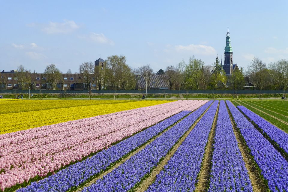 Keukenhof: Flower Fields Small-Group Cultural Bike Tour - Value check: what $68 buys you (and how it stacks up)