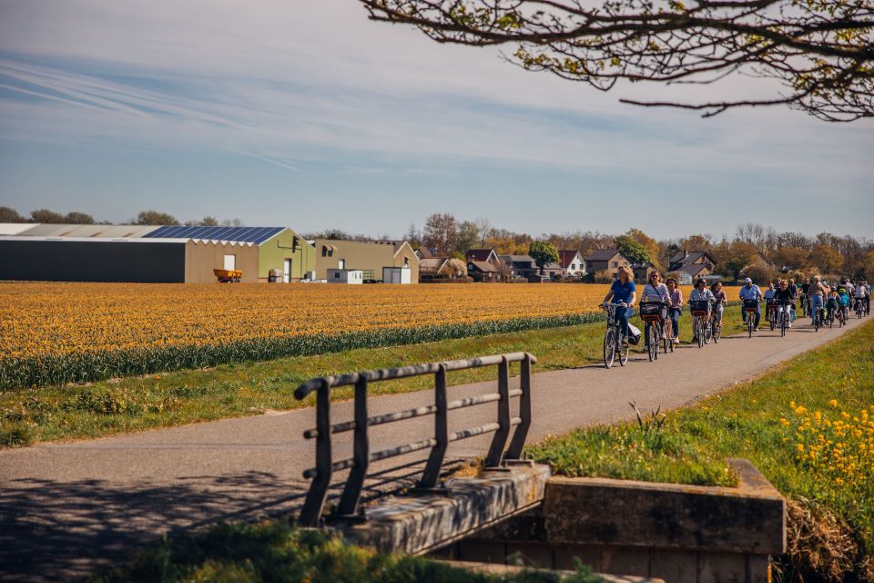 Keukenhof: Flower Fields Small-Group Cultural Bike Tour - The simple idea: why bike + guide beats just wandering