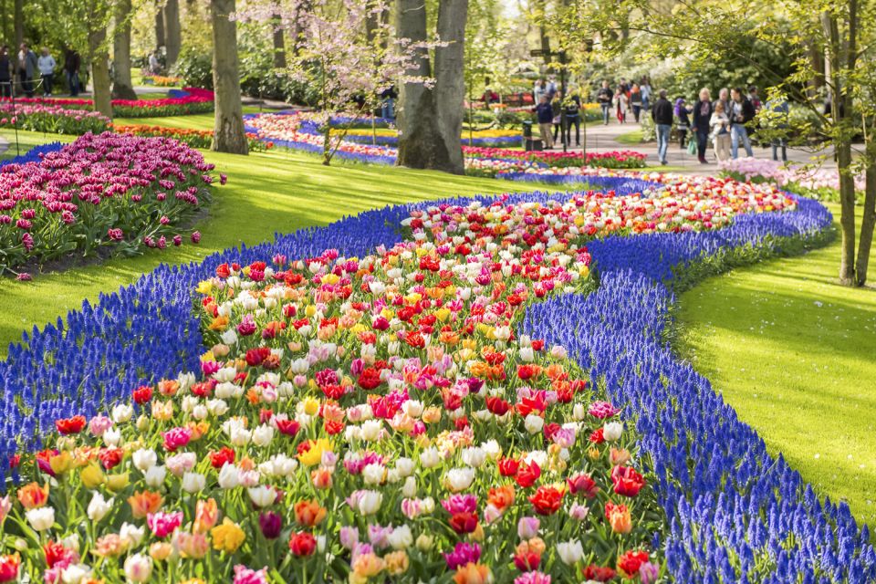 Keukenhof: Flower Fields Small-Group Cultural Bike Tour - Tulip Experience Amsterdam: 700 varieties and the machines behind them