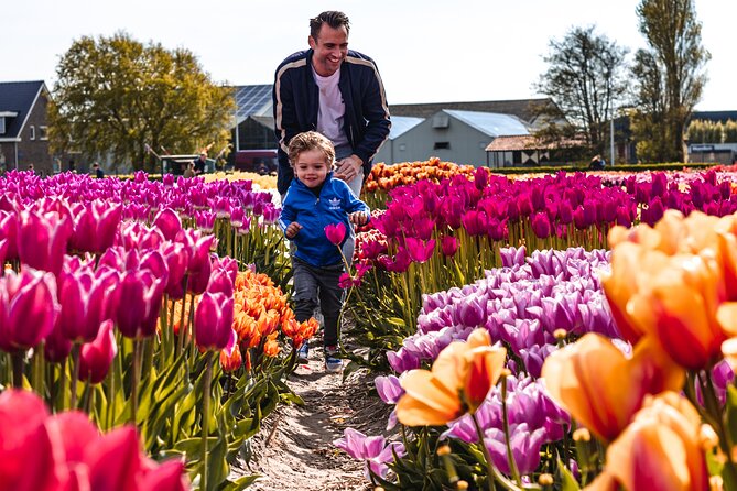 Keukenhof Gardens & Tulip Experience Tour from Amsterdam - Keukenhof Gardens: 32 Hectares You’ll Feel in Your Legs