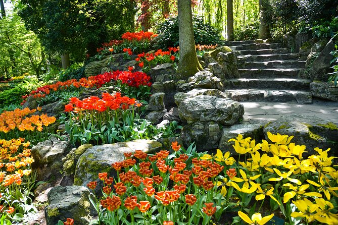 Keukenhof Gardens & Tulip Experience Tour from Amsterdam - The Coach Ride: How the Day Is Run (and Why That’s Good)