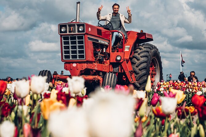 Keukenhof Gardens & Tulip Experience Tour from Amsterdam - What’s the Best Value Here: Tulip Fields vs. Keukenhof Time