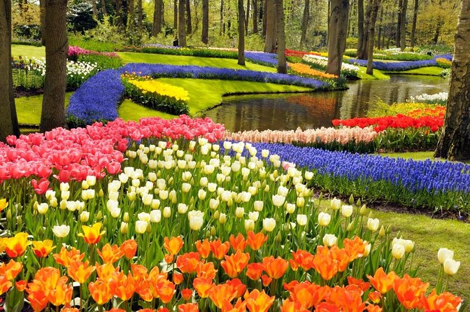 Keukenhof Gardens & Tulip Experience Tour from Amsterdam - Tulip Experience Amsterdam: More Than a Photo Stop