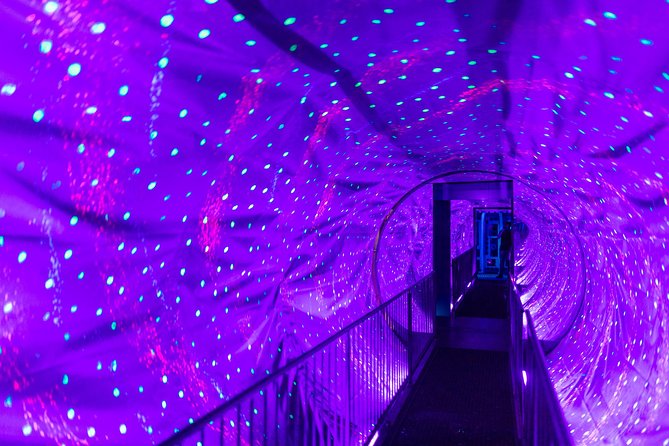 Ripley's Believe It or Not! Amsterdam Admission Ticket - The Included Vortex Tunnel: Start With a Big Moment