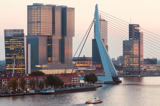 Rotterdam, Delft and The Hague Small Group Tour from Amsterdam - What kind of traveler this fits best
