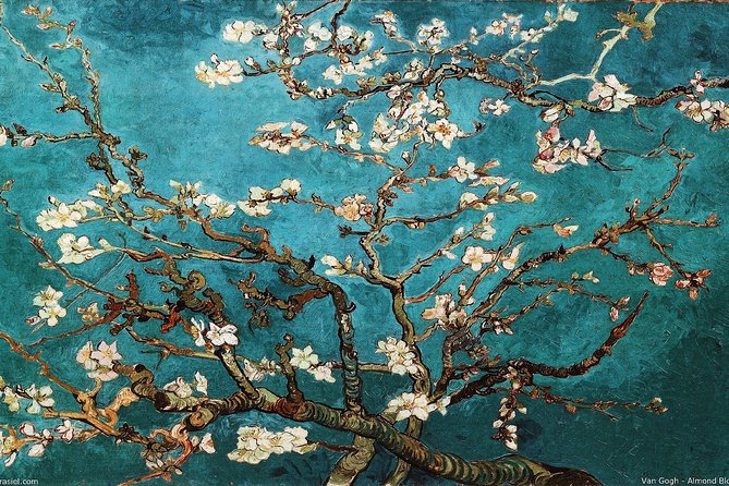 Van Gogh Museum Amsterdam Exclusive Tour w/ Reserved Entry - More Than Highlights: Why Lesser-Known Works Actually Matter