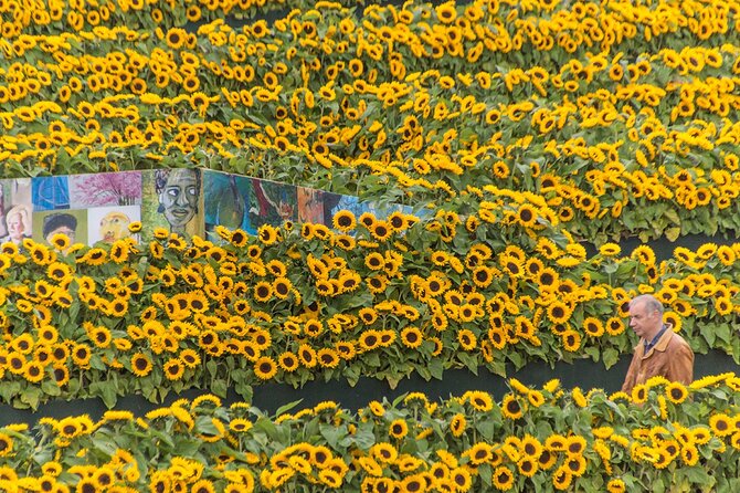 Van Gogh Museum Skip the Queue with Audio Guide - Photo rules, walking pace, and family-friendly realities