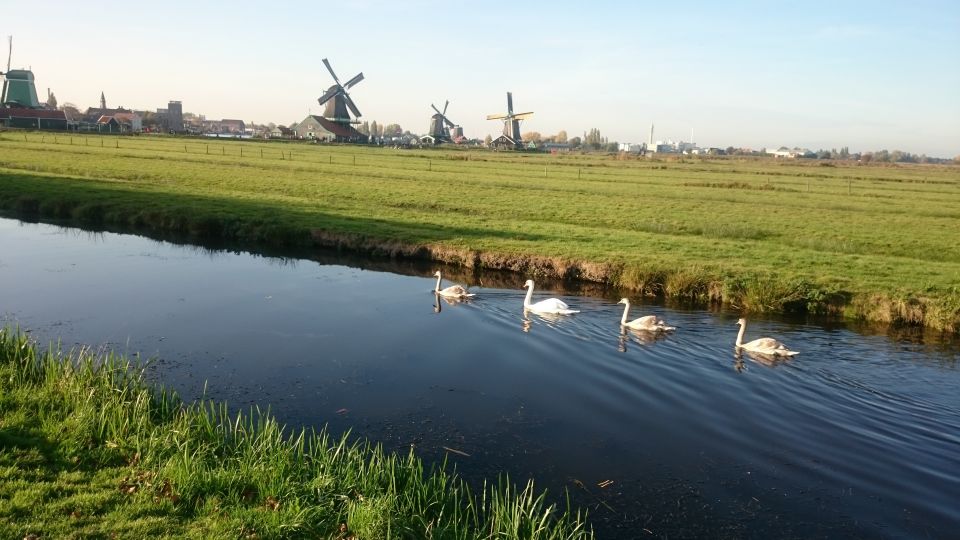 Zaanse Schans Windmills 4-Hour Tour in Italian - Timing, Walking, and Weather: How to Prepare
